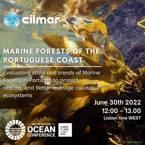 BlueForesting was represented at the UN Ocean Conference, with different initiatives